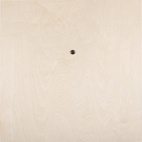 Caroline Rothwell Viewer (Wollemia nobilis), from fossil record to the stars, 2023; Birch panel, peephole, Wollemi pine seeds, 23 carat gold; 60 x 60 x 5 cm; more info; enquire