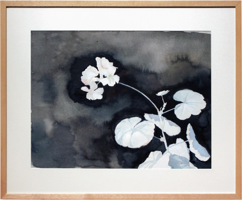 Glenn Sorensen Geranium, 2011; watercolour on paper; 40.5 x 49.5 cm; enquire
