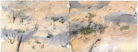 John Wolseley 12. Mallee Fence 1 - Callitris and Casuarina, 2004-05; watercolour pencil and carbonised wood on paper; 56.5 x 151.5 cm (paper), 74.5 x 169 cm (framed); enquire