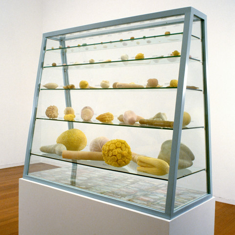 Fiona Hall Cash Crop, 1998-99; carved soap, painted banknotes, vitrine; 115 x 130 x 55 cm; vitrine dimensions; enquire