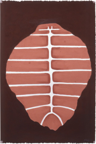 Fiona Foley Turtle Shell, 1992; pastel on paper; 56 x 38 cm; enquire