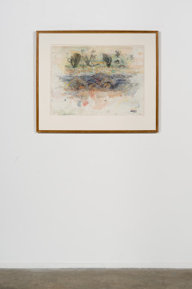 installation view; John Wolseley Burrowing Bettongs by their Burrows - Newhaven, NT, 2024; watercolour and graphite on paper; 56 x 76 cm; 83 x 100 cm (framed); enquire