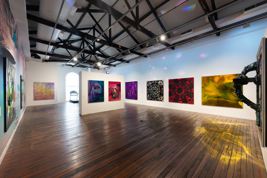 Installation view, Dale Frank, Growers and Showers, National Art School, Sydney (12 April – 1 June 2024)