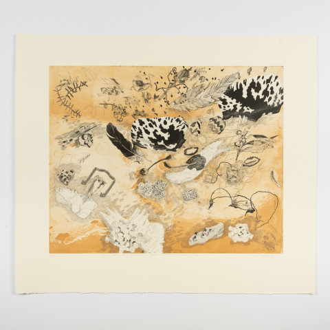 John Wolseley Sea Wrack;  Tide after tide - Baniyala, 2009; colour etching; 49.0 x 61.5 (image) 68.0 x 78.0 (sheet); Edition of 50; enquire