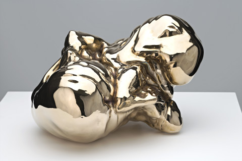 Patricia Piccinini A Deeply Held Breath, 2009; Bronze
; 38 x 55 x 54 cm; Edition of 3 + AP 1; enquire