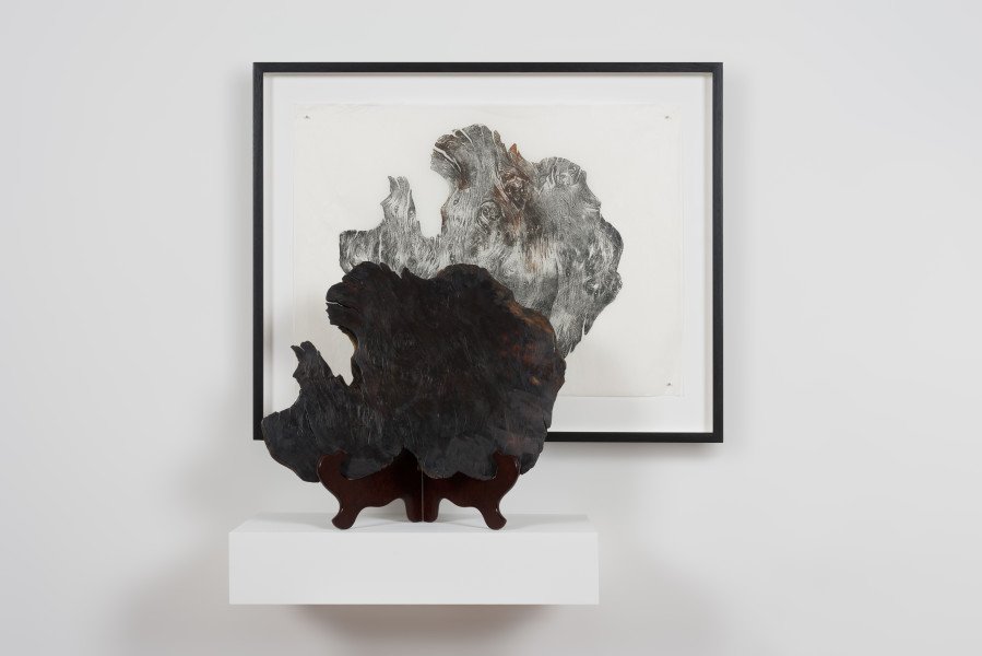 John Wolseley Doppelgänger, Lake Pedder, 2018; unique relief print with Huon pine block; wood block: 35 x 30cm, print: 70 x 56cm