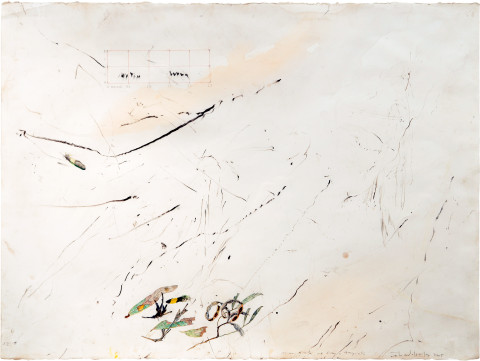 John Wolseley Senna/Slaty-Backed Thornbill, 2005; watercolour, graphite, cabronised wood on paper; 66 x 85.5 cm; enquire