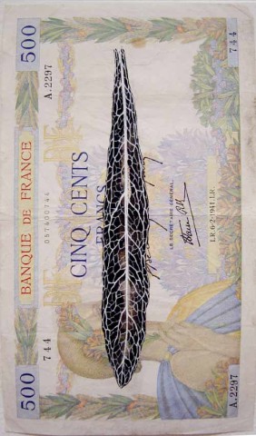 Fiona Hall Leaf Litter (detail), 2000-02; gouache on banknotes; dimensions variable; enquire
