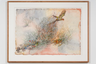 John Wolseley 'The other side of paradise' - Princess Parrot and the last Paradise Parrot, 2026; watercolour and graphite on paper; 70 x 100 cm; 95 x 125 cm (framed); enquire