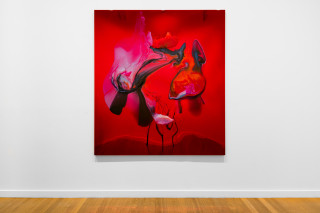 installation view; Dale Frank His eyes collided side to side in a dance floor disco embrace, his receding dick shuddered up and down, his exhausted breast strained, his sinuous muscles sagging balloons like an old ladies underarm flab, the vanilla cream filling of his life licked off, 2026; colour powder pigments in Epoxyglass, Epoxyglass, on perspex; 200 x 180 cm; enquire