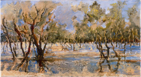 Mandy Martin Yippunya, Gidgee, Coolibah on Back Creek, 17 February, 1997; oil, ochre, pigment on linen; 56 x 30 cm; enquire