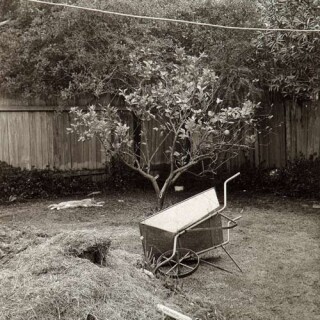 Fiona Hall Oatley, Sydney, 1974; gelatine silver photograph; 28 x 28 cm; enquire