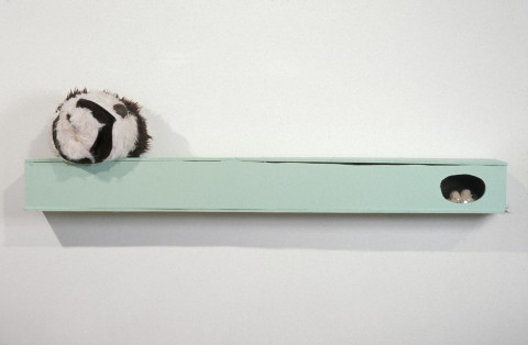 Kathy Temin Spearmint Problem   , 1995; wood, wax, perpex, synthetic fur, acrylic paint; 50 x 200 x 21.5 cm; enquire