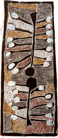 Nyapanyapa Yunupiŋu 2 Wild Apple Trees, 2008; natural earth pigments on bark; 81 x 35 cm; enquire