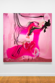 installation view; Dale Frank Fiona got a second amex after her third labiaplasty so she could keep track of the costs and the little extras, 2026; colour powder pigments in Epoxyglass, Epoxyglass, on perspex; 200 x 200 cm; enquire