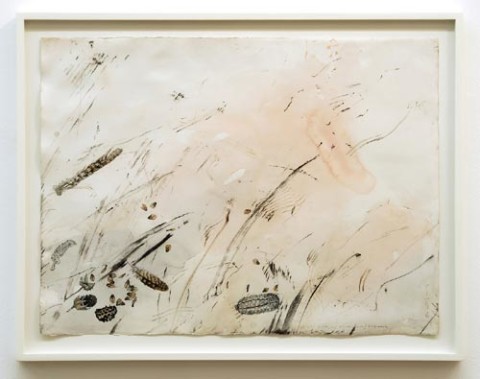 John Wolseley Minni Ritchi/Singing Honeyeater, 2005; watercolour, graphite, carbonised wood on paper; 66 x 85.5 cm; (frame size); enquire