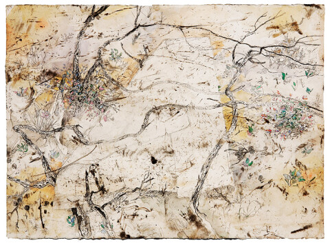 John Wolseley 7. Ventifact held by Burnt Branches, Sunset Track no 1, 2007; found charcoal, graphite and watercolour on paper; 56 x 77 cm; enquire