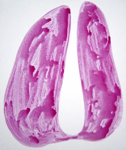 Nell Drip Seed, 2002; Acrylic on canvas; 60.5 x 50.5 cm; enquire