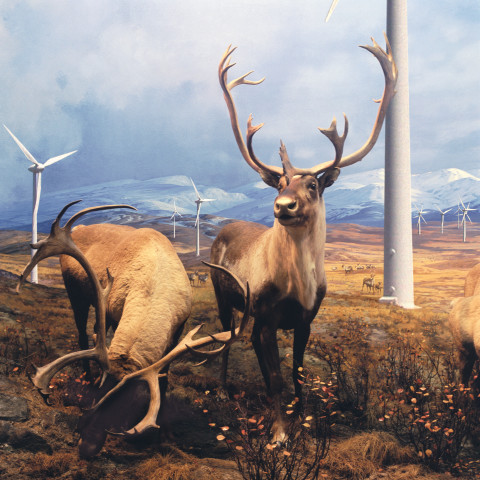 Anne Zahalka Windy Weather, 2007; Ilfaflex Type C print; 80 x 80 cm; Edition of 10 + AP 2; enquire