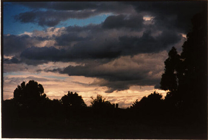 Bill Henson Untitled #28, 2000-01; CL SH348 N9; Type C photograph; 127 x 180 cm; (paper size); Edition of 5 + AP 2; enquire