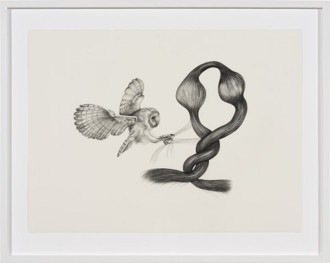 Patricia Piccinini Inseparable (Barn Owl), 2020; graphite on paper; 57 x 76 cm; 72.5 x 91 cm (framed); more info; enquire