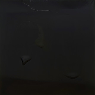 Dale Frank Djimon Hounsou, 2008; varnish on canvas; 200 x 200 cm; enquire