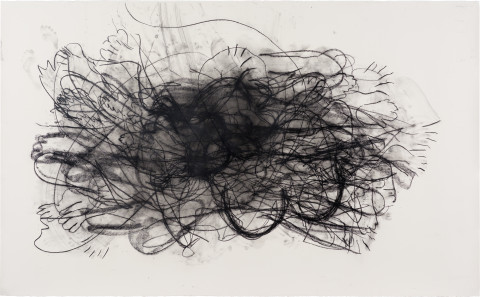 Julie Rrap 15 minutes / 1500 years, 2022; charcoal pastel on watercolour paper; 150 x 250 cm; more info; enquire