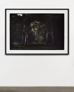 Bill Henson Untitled, 2026; CL SH13 N16A CH HWY; archival inkjet pigment print; 127 x 180 cm; Edition of 5 + 2AP; enquire