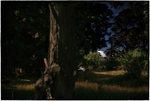 Bill Henson Untitled, 2018-19; CL GW SH2 N34B; archival inkjet pigment print; 127 x 180 cm; edition of 5 + 2 AP; Enquire