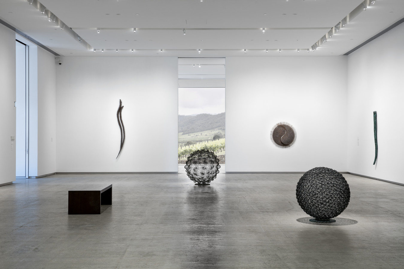 The Unfurling Triumph of Bronwyn Oliver's 'Tide'