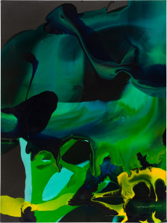 Dale Frank 26. Some sort of parrot or two hit the grill., 2009; varnish and acrylic on canvas; 160 x 120 cm; enquire