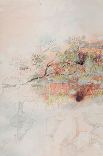 John Wolseley Burrowing bettong warren with one lone bilby burrow (detail), 2025; watercolour and graphite on paper; 77 x 100 cm; 102 x 125 cm (framed); enquire