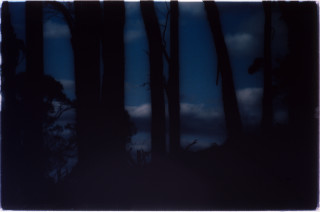 Bill Henson Untitled 1994/95, 1994-95; type C photograph; 127 x 180 cm; enquire