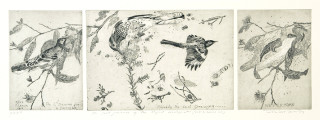 John Wolseley Last journey of the Regent Honeyeater, 2005; Etching; 17.5 x 52 cm; Edition of 25 + AP 2; enquire