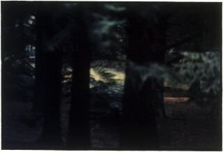 Bill Henson Untitled #50, 1996-97; CL SH134 N10A; Type C photograph; 127 x 180 cm; (paper size); Edition of 5 + AP 2; Enquire