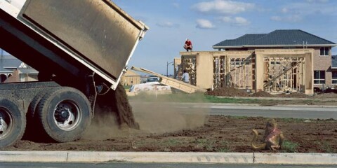 Patricia Piccinini Nature's Little Helpers: Surveyor. (This lone male is so habituated to human contact that he shows no fear whatsoever.), 2005; Digital C type photographs; 110 x 180 cm; 110 x 180 cm (frame size); Edition of 6; enquire