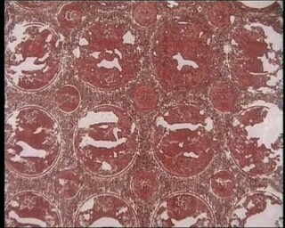 Julie Rrap Lace Blood, 1999; duration 1:43 minutes; Edition of 9; enquire