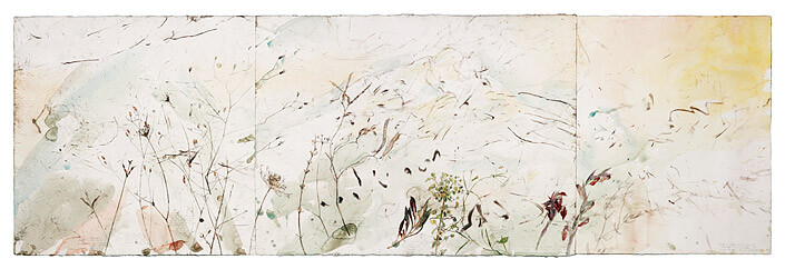 John Wolseley 3. A Last Inventory of the Plants of Mont St. Victoire, 2008; found charcoal graphite and watercolour; 57 x 182 cm; enquire