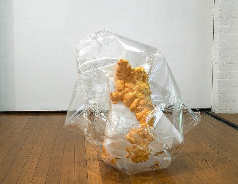 Mikala Dwyer Gap filler pet (hard edge), 2005; plastic, pins and expanding polystyrene; 2 pieces; 86 x 94 x 87cm, 2 x 7 x 13cm; enquire