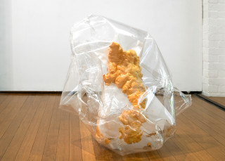 Mikala Dwyer Gap filler pet (hard edge), 2005; plastic, pins and expanding polystyrene; 2 pieces; 86 x 94 x 87cm, 2 x 7 x 13cm; enquire
