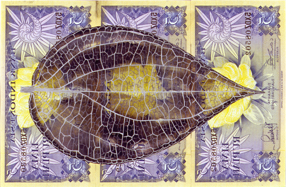 Fiona Hall Leaf Litter, 2000-02; gouache on banknotes; dimensions variable; enquire