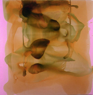 Dale Frank The 28 kilometers between Elliot River to Pig Pig Creek, July cutting out unsightly Qbuild/Blue Metal Quarries, 2003; varnish on acrylic on canvas; 200 x 200 cm; Enquire