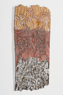 Yalmakany Marawili Yams, vines and fruits, 2026; 2127-26; earth pigments on stringybark; 115 x 64 cm; enquire