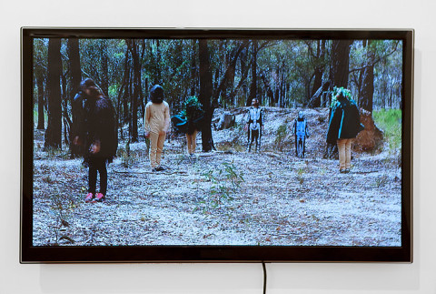 A Constructed World Trees+, 2012; video 16:9 ratio, colour, sound, ; 4 min 18 sec; Edition of 5 + AP 2; enquire