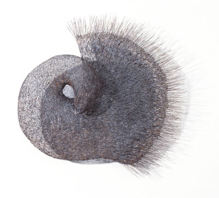 Bronwyn Oliver Flare, 1997; copper; 50 x 50 x 14 cm; enquire