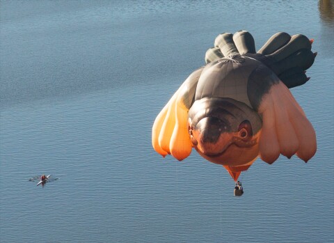 Patricia Piccinini Skywhale, 2013; hot air balloon; 3400 x 2300 x 2000 cm; enquire
