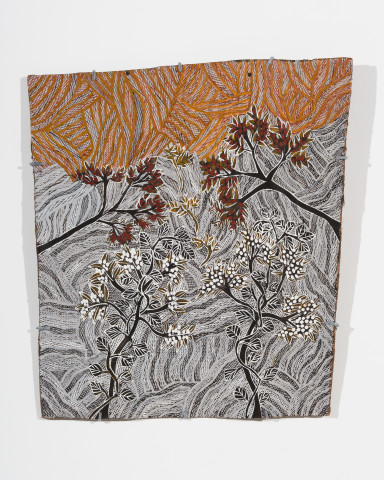 Yalmakany Marawili Munbi and Ḏilminyin, 2025; 3006-25; earth pigments on stringybark; 67 x 59 cm; more info; enquire
