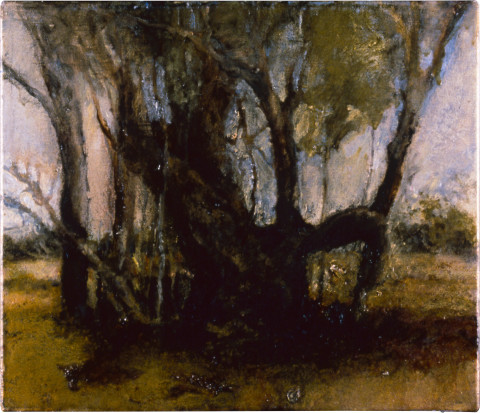 Mandy Martin Black Box, 1997; oil, ochre, pigment on linen; 30 x 35 cm; enquire