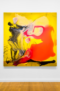 installation view; Dale Frank Lighter the sun slowly rose really blinding, blackening their mood, 2026; colour powder pigments in Epoxyglass, Epoxyglass, on perspex; 200 x 200 cm; enquire