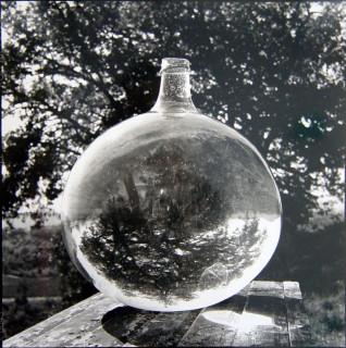 Bill Culbert Wine Bonbonne with Oak Tree, France, 2002; silver gelatin prints; 40.5 x 40.5 cm; Edition of 25; enquire